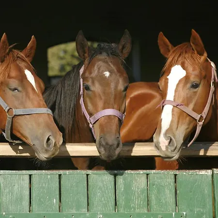 Villa Baumanns Durbach