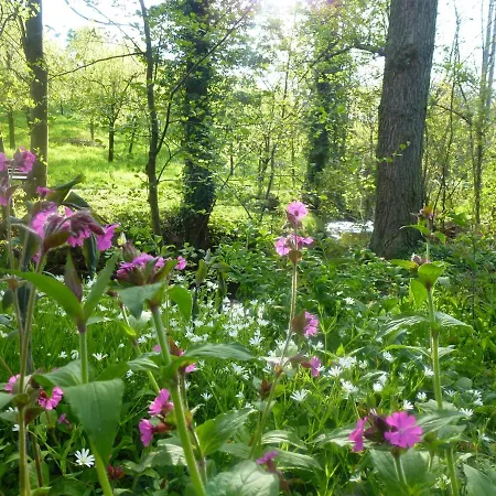 Baumanns Landhaus Durbach