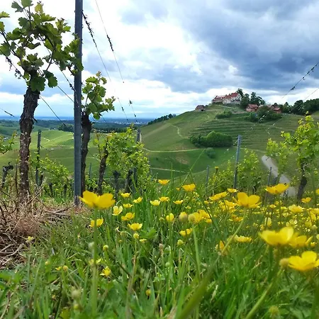 Baumanns Villa *
