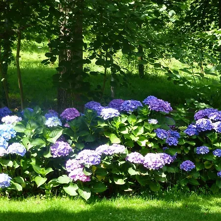 Baumanns Landhaus Villa Durbach