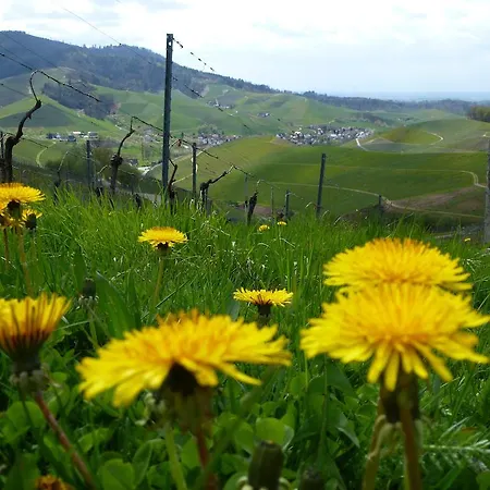 Villa Baumanns Landhaus