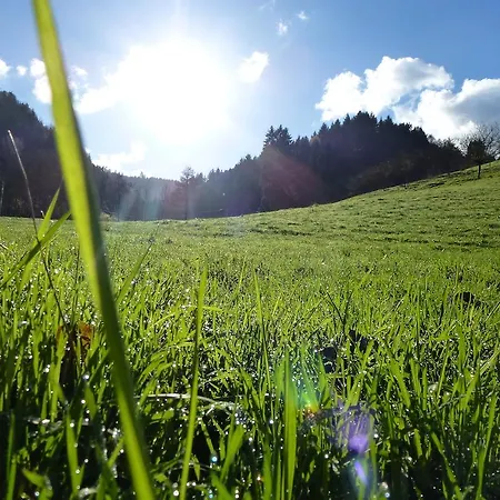 Villa Baumanns Landhaus