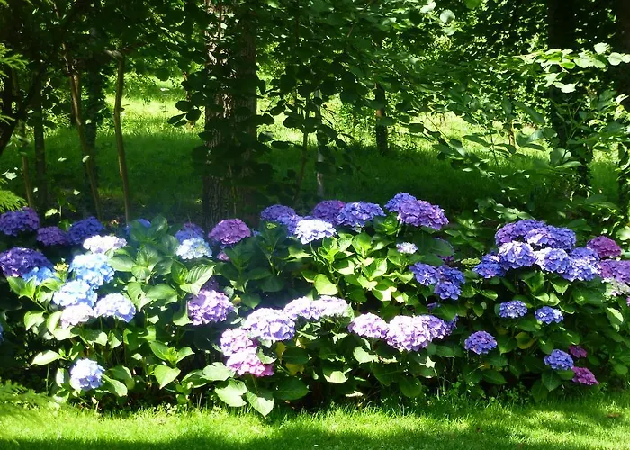 Baumanns Landhaus Villa Durbach