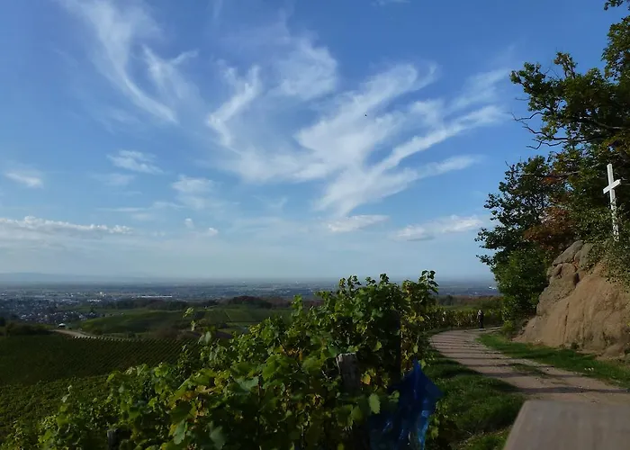 Villa Baumanns Landhaus Durbach