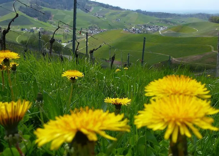 Villa Baumanns Landhaus