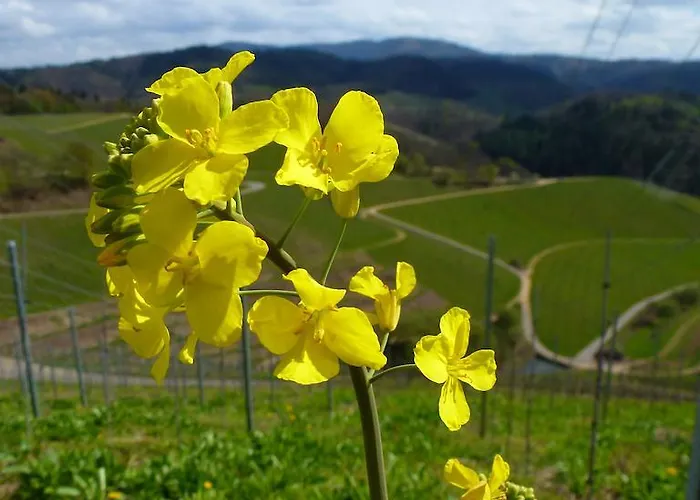 Villa Baumanns Landhaus Durbach
