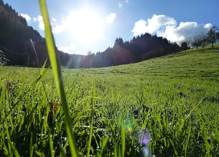 Villa Baumanns Landhaus